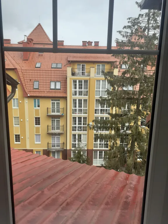 Квартира 3-комнатная Квартира — Светлогорск