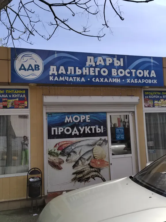 Студия в центре