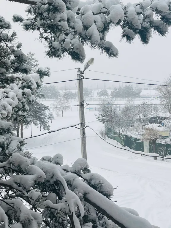 Квартира в парке, центр, набережная, музей космонавтики