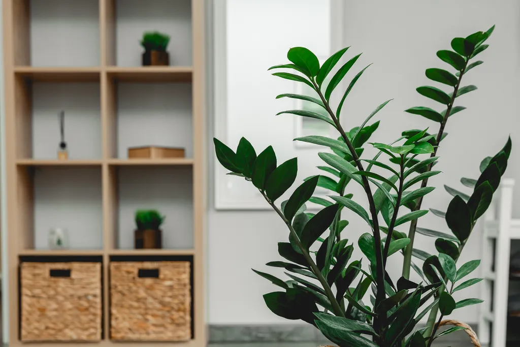 Коттедж Siesta Family House — Коккорево