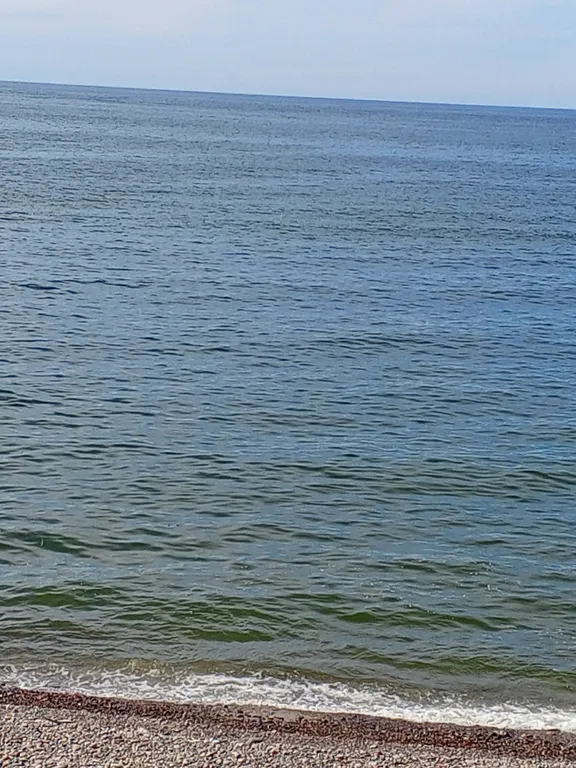 Уютная квартира в тихом районе Пионерского курорта