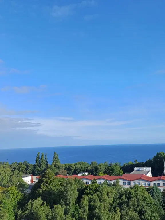 Квартира 1-комнатная Квартира — Светлогорск