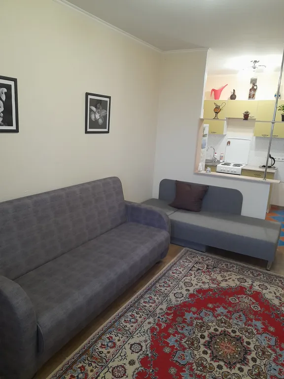 Уютная, тёплая студия в новом доме