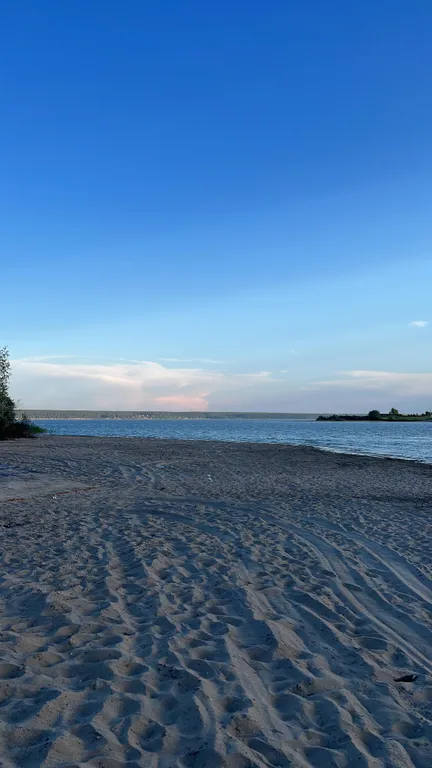 Дом отдыха Чернаков с видом на лес