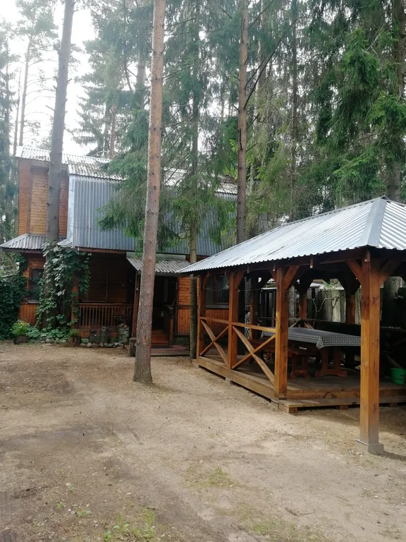 Коттедж Лана в хвойном бору на Селигере