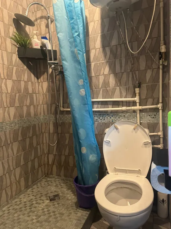 Орхидея рядом с молл мармелад