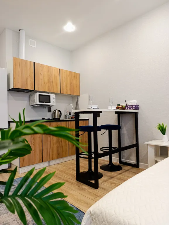 Комфортная студия