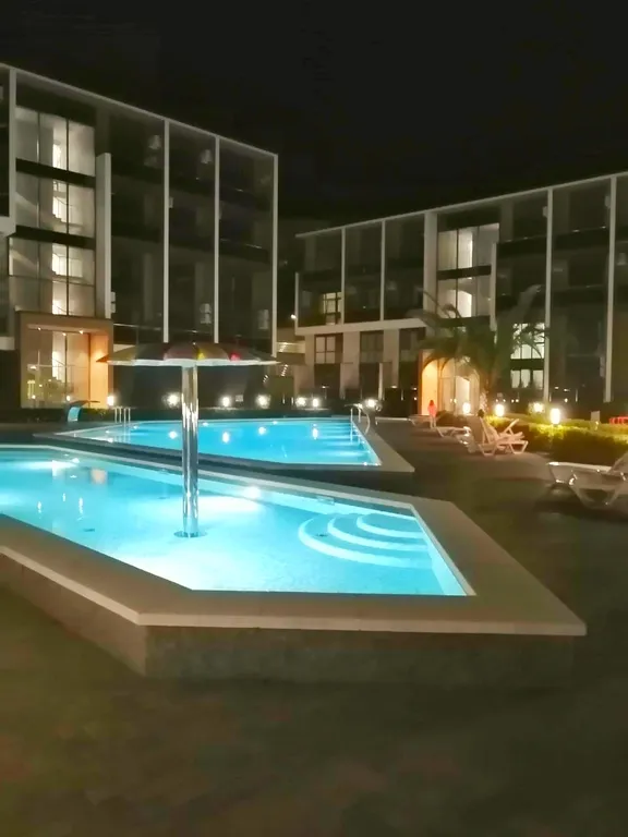 Уютная студия с видом на лес