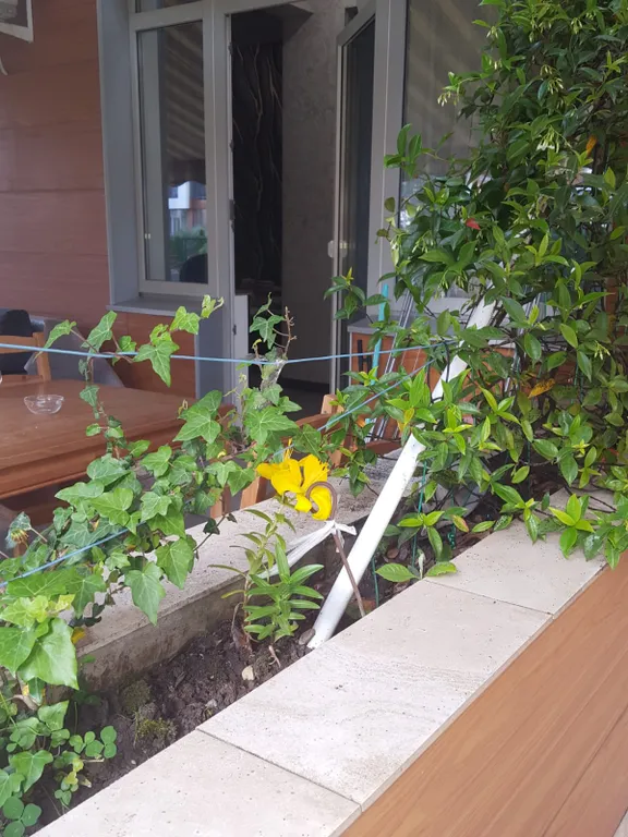 Квартира с террасой от моря в 100 метрах