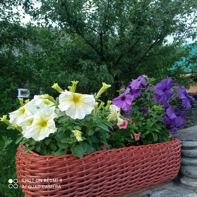 Дом с видом на реку