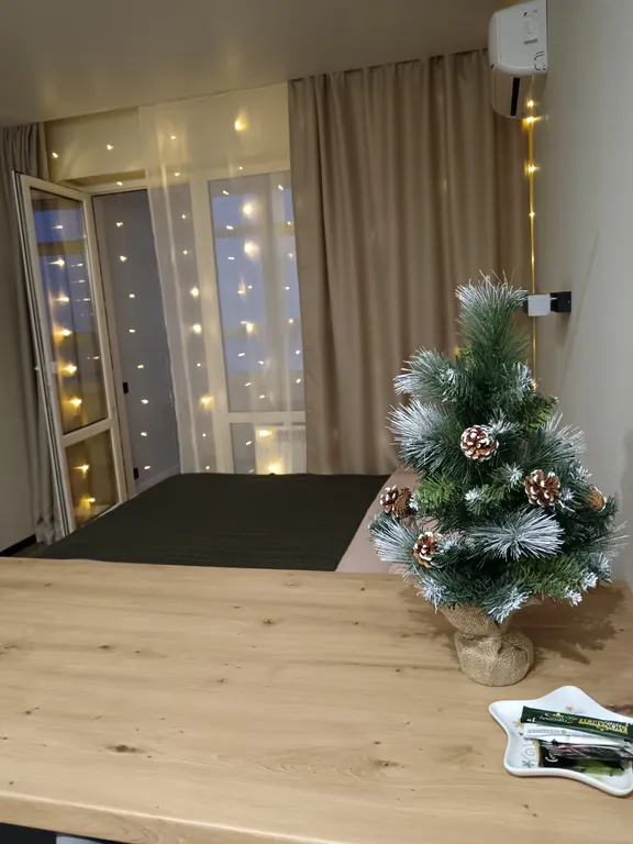 Квартира Квартира Уютная студия с видом на реку — Барнаул