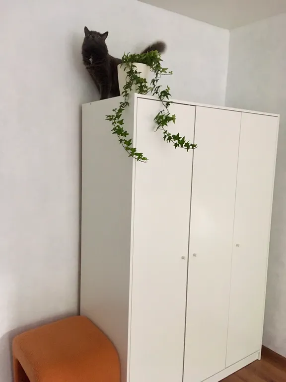 Милая квартира с пианино в самом центре города