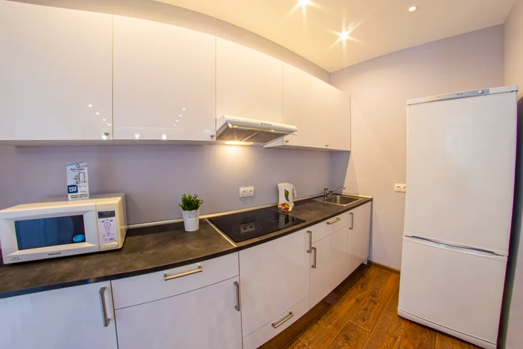 Современная студия бизнес класса с выходом в парк