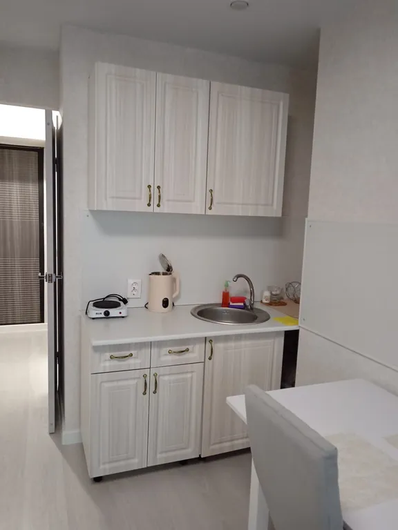 Уютная студия с новым ремонтом