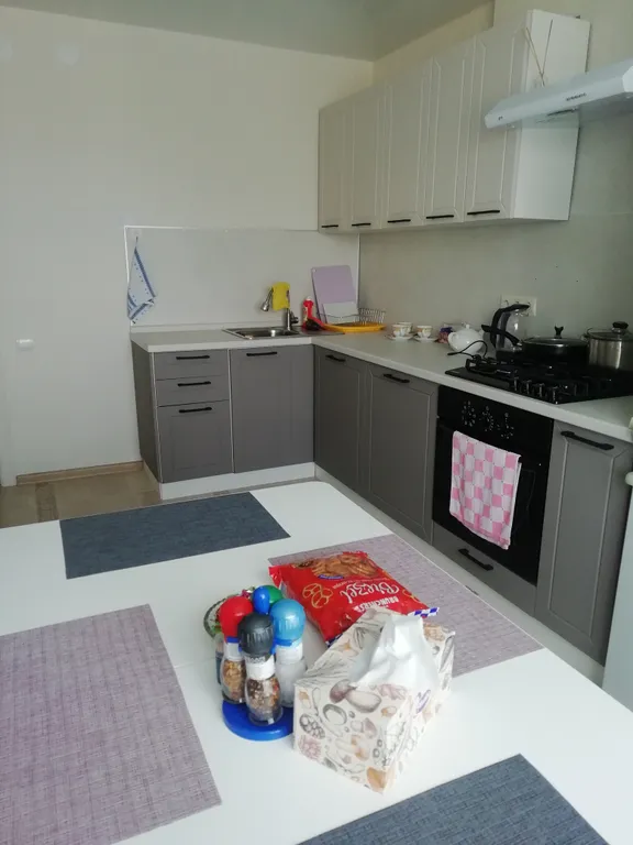 Уютная квартира с видом на Ильинский луг и Кремль