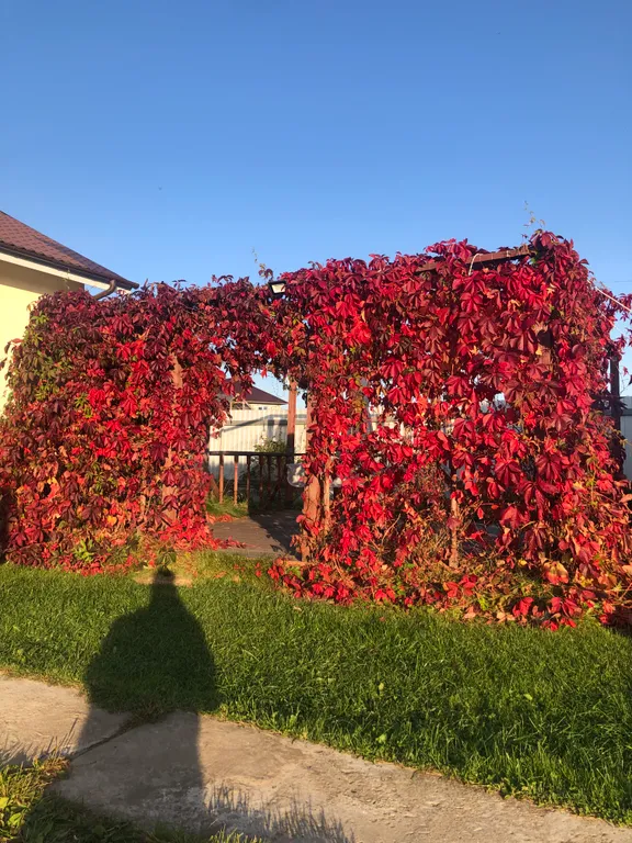 Родные пенаты апартаменты