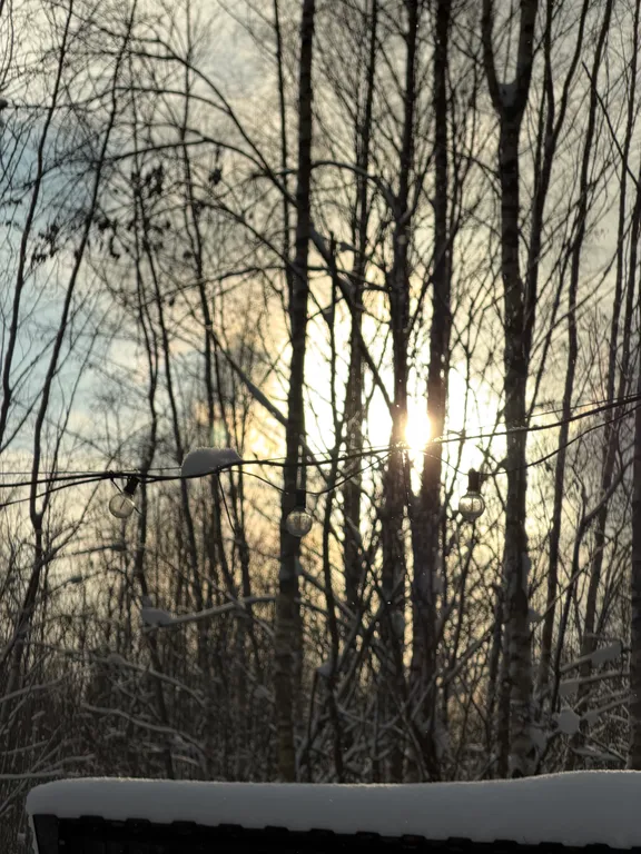 Дом в стиле a-frame в лесу в 10 км от Смоленска рядом с р. Днепр