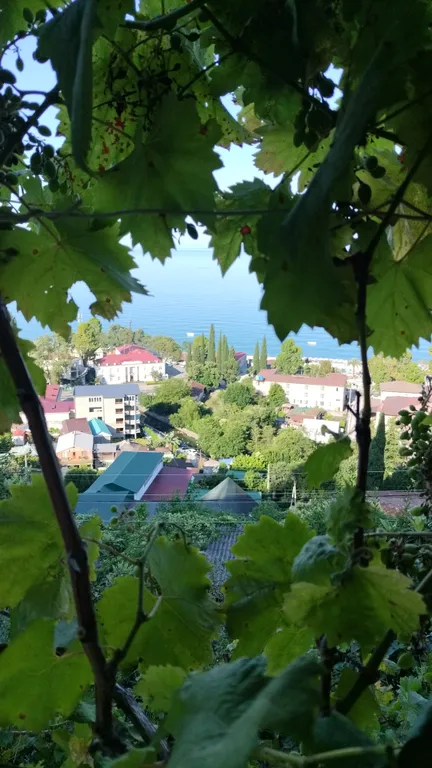 Квартира Комната — Гагра