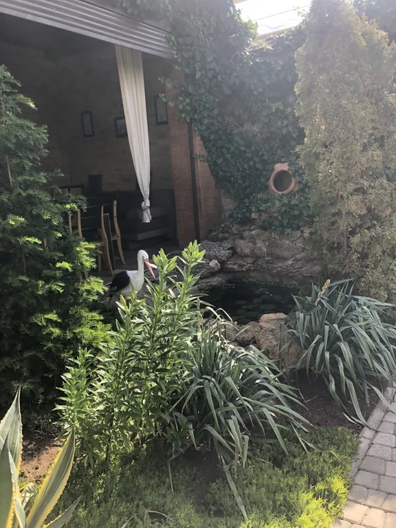 Апартаменты класса люкс в центре