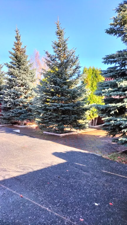 Дом - коттедж У Федота в черте города