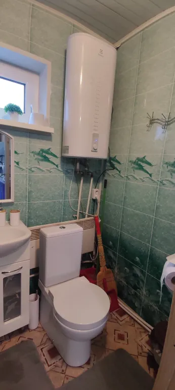 Уютный дом на живописном берегу реки Янис