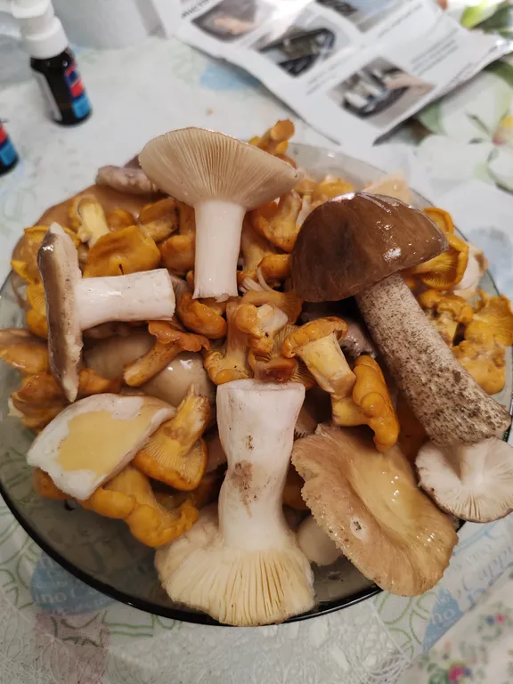 Дом у слияния рек, рядом с историей