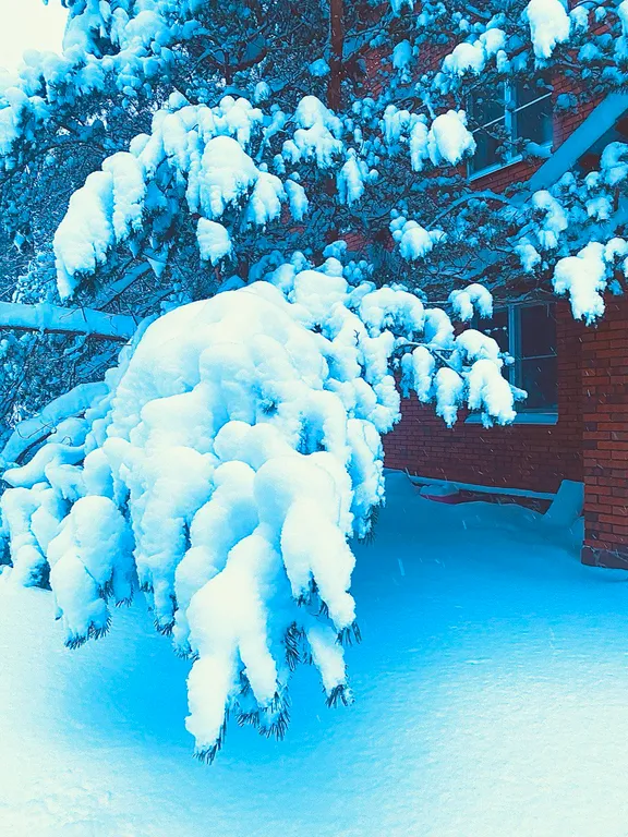 Коттедж Большой дом в лесу — Запорожское