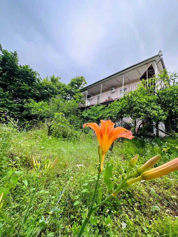 Коттедж Двухэтажный дом под ключ у моря в Новом Афоне — аренда посуточно в Новый Афон