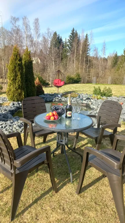 Уютный современный дом с сауной в тихом месте в окружении леса