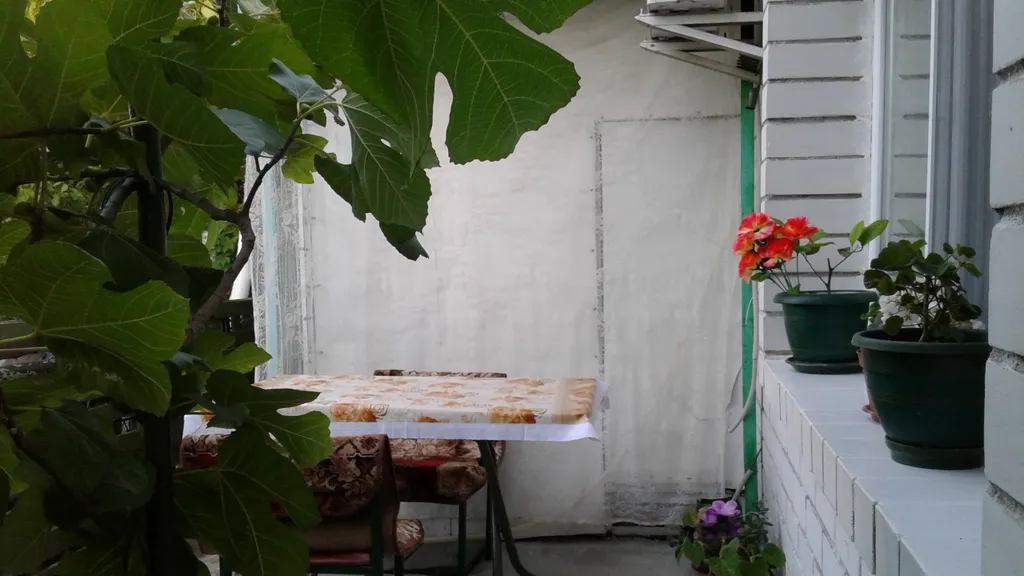 Уютная однокомнатная квартира с зеленым двором