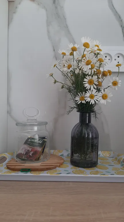 Кранц-престиж