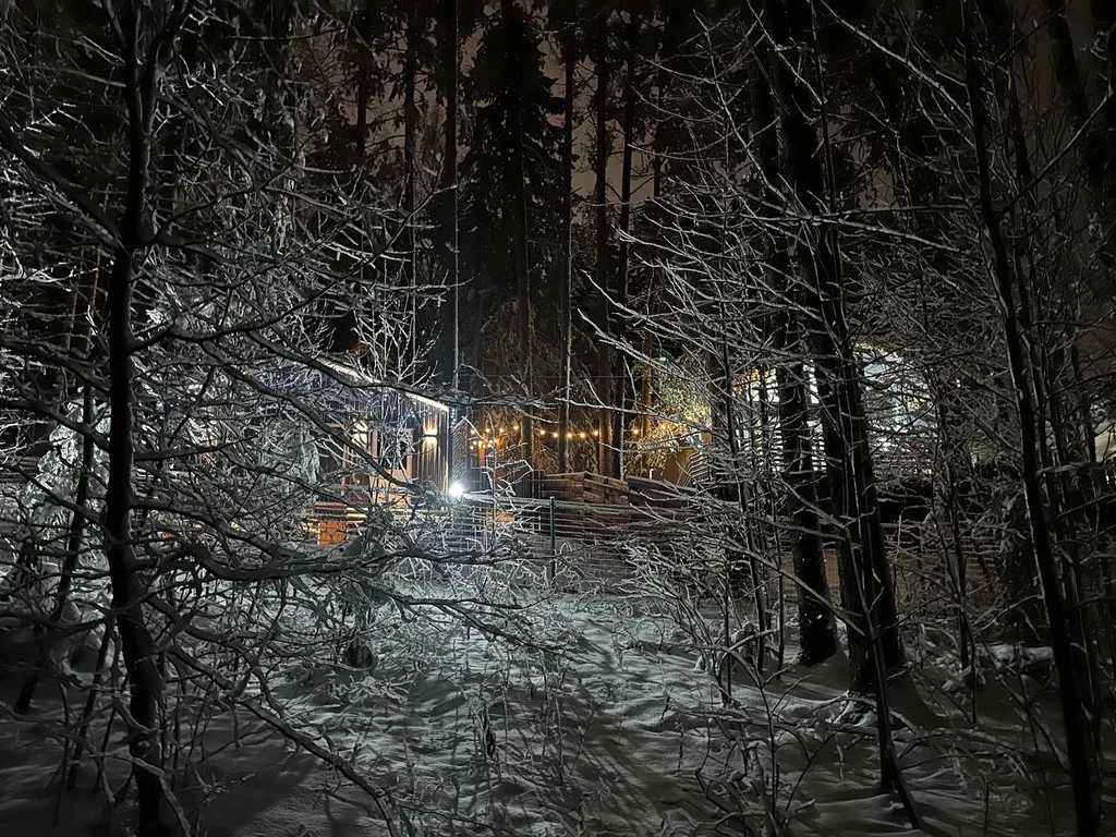 Дом в черте города в лесу