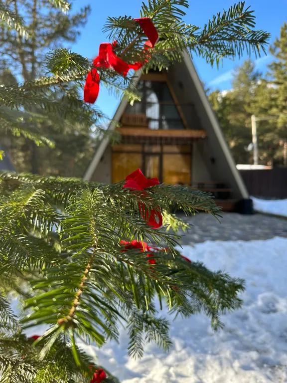 Новый двухэтажный дом в заповедной лесной зоне