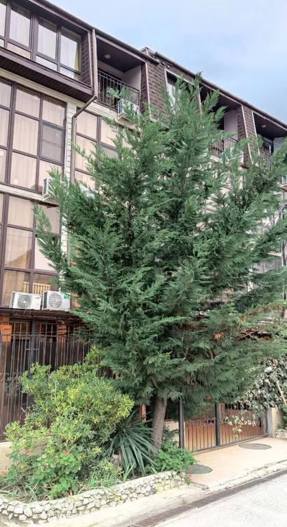 Уютная студия вид на Фишт