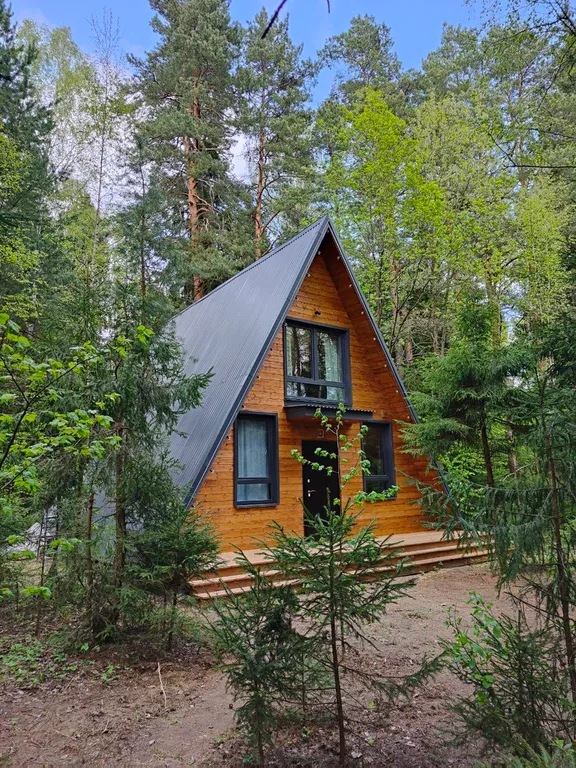 Большой уютный дом в лесу