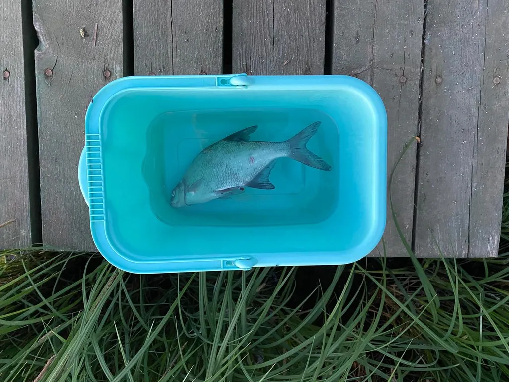 Дом на первой линии у реки Дубна