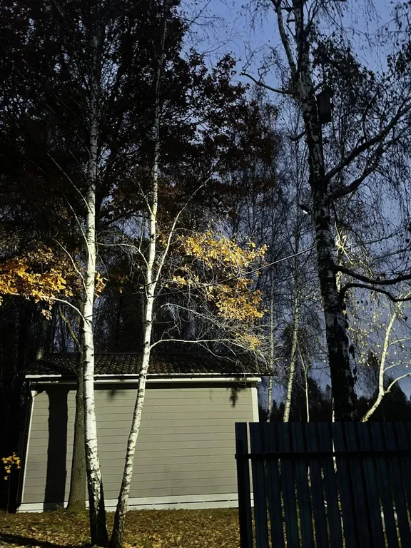 Дом с баней в национальном парке Угра