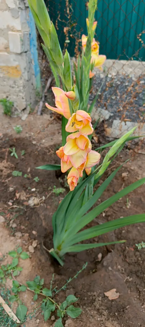 Фото
