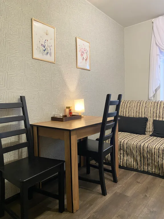 Просторная однокомнатная квартира у леса