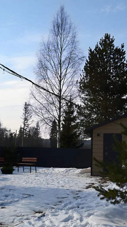 Новый дом в лесу