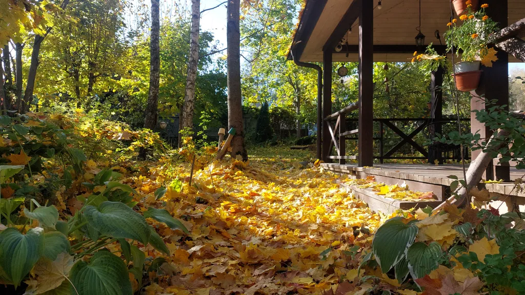 Коттедж Коттедж под сенью лесных деревьев — Москва