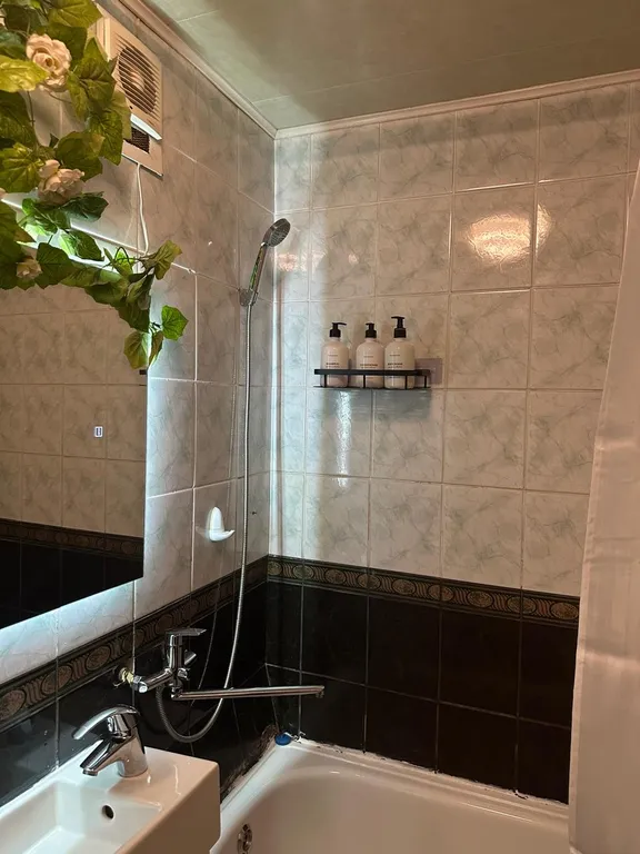 Центральная квартирка