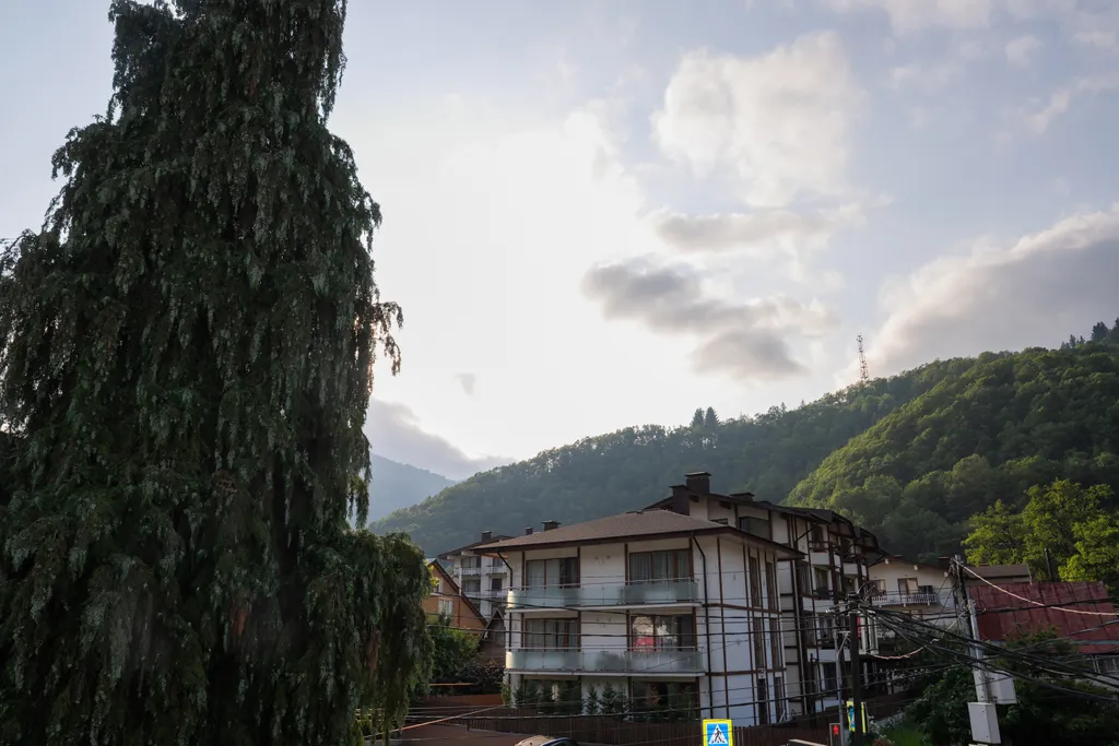 Green berg Апартамент