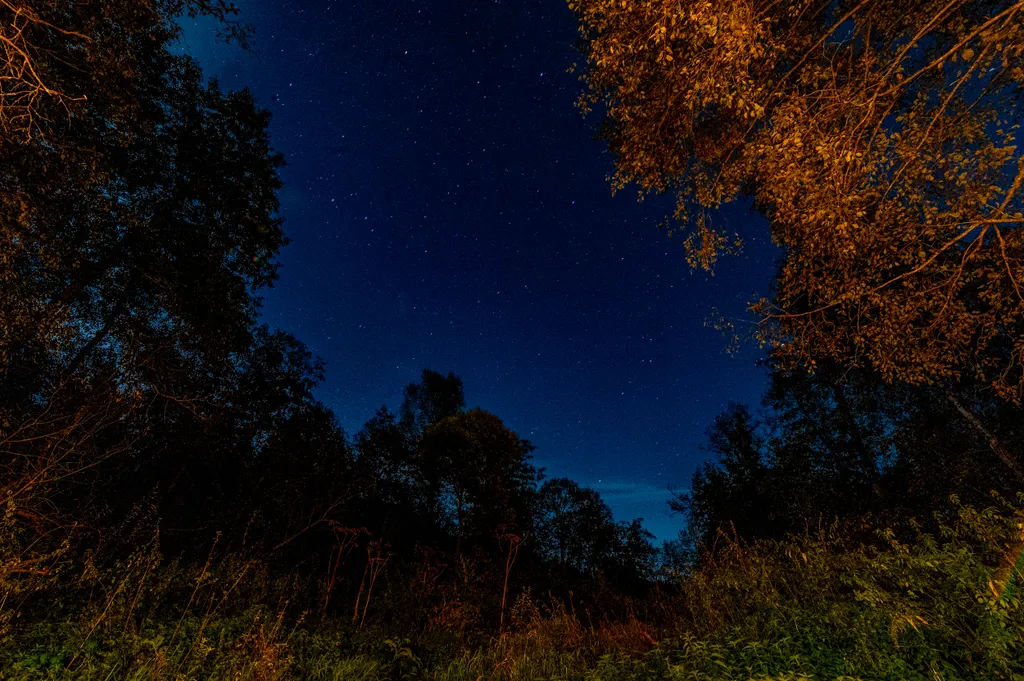 Дом Барнхаус