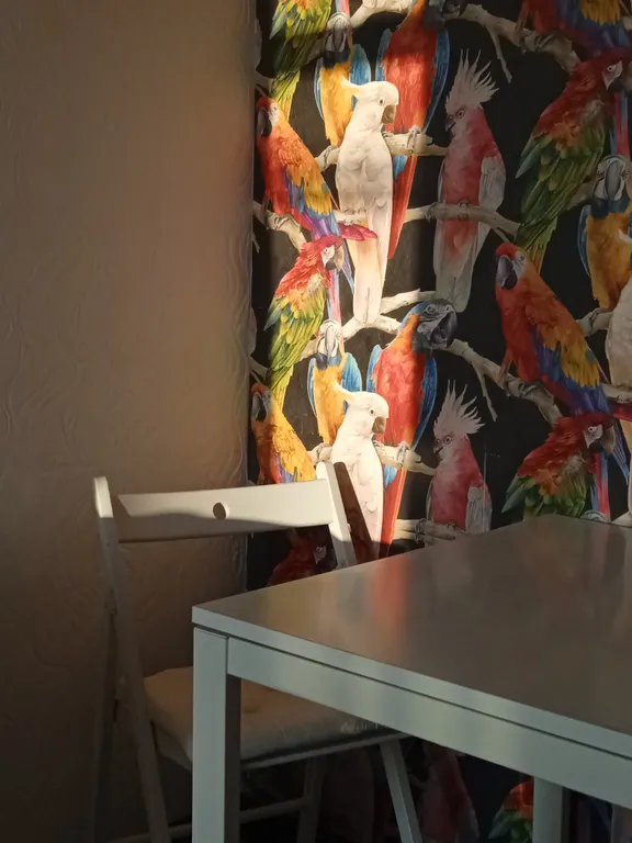 Квартира Уютная квартира в живописном месте напротив Курортного Городка — Адлер