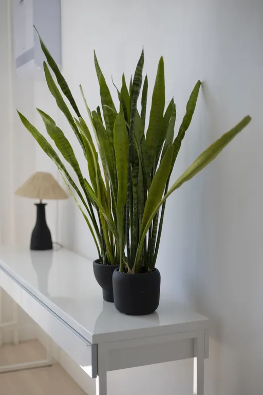 Квартира Квартира Family apartment на Петроградке — Санкт-Петербург