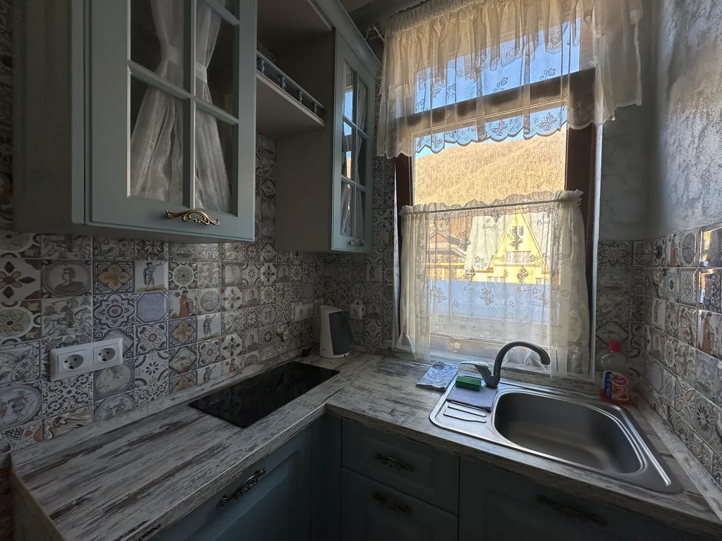 Уютная студия с видом на горы