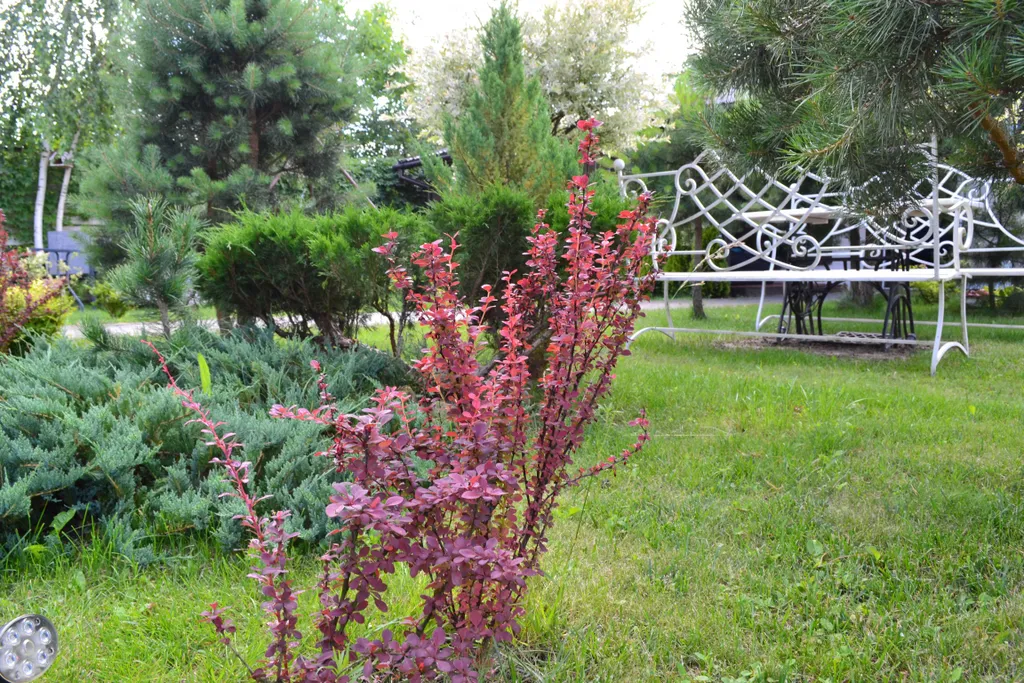 Эко дом у озера + баня удобно размещается 14 человек