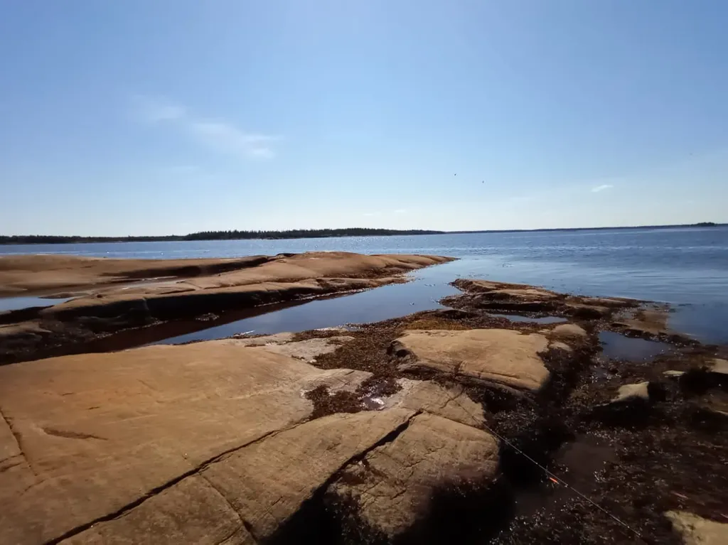 Отдых на Белом море