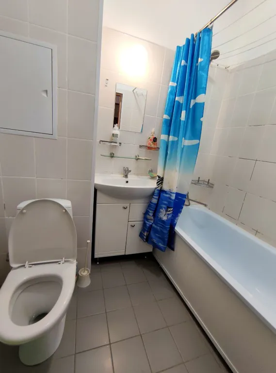 Прекрасные апартаменты в центре города